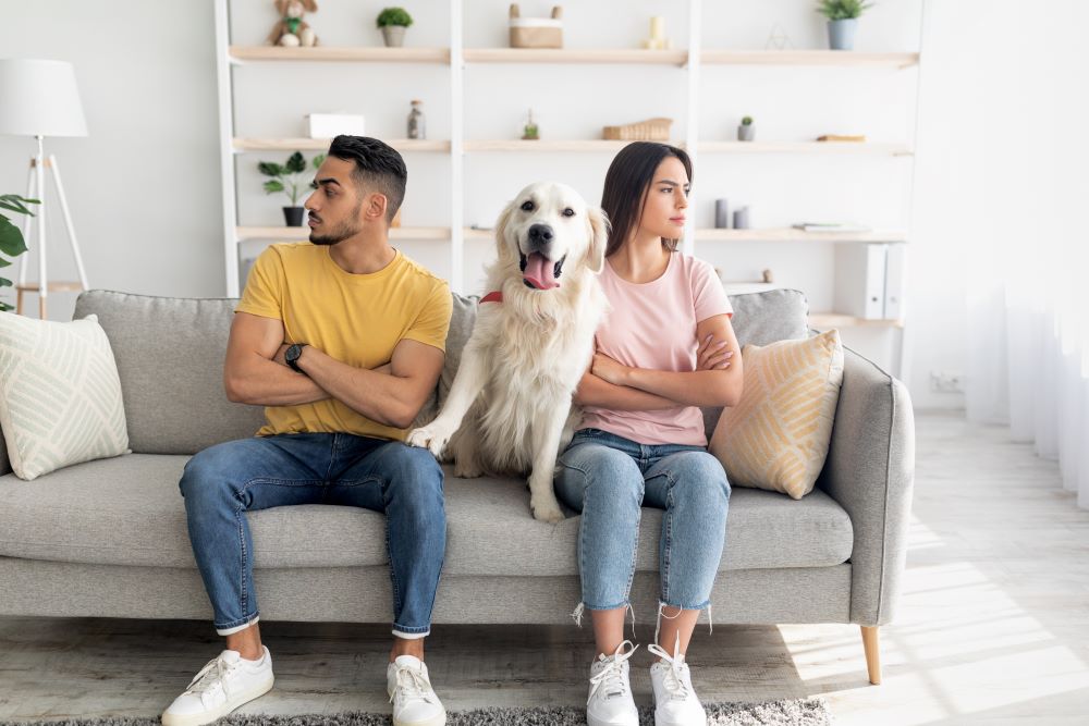 divorced couple with dog between them