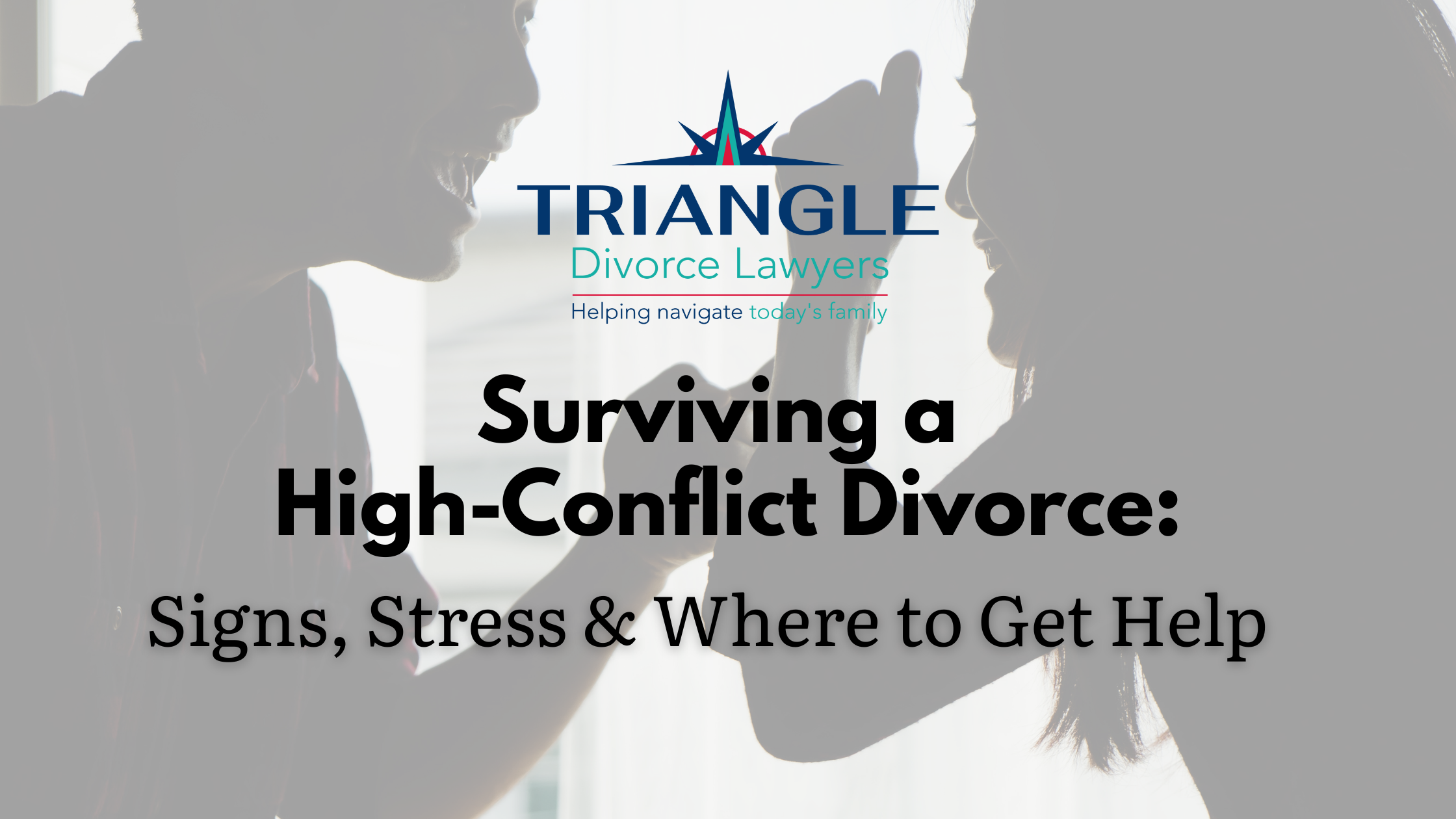 Blog Graphic Surving a High Conflict Divorce